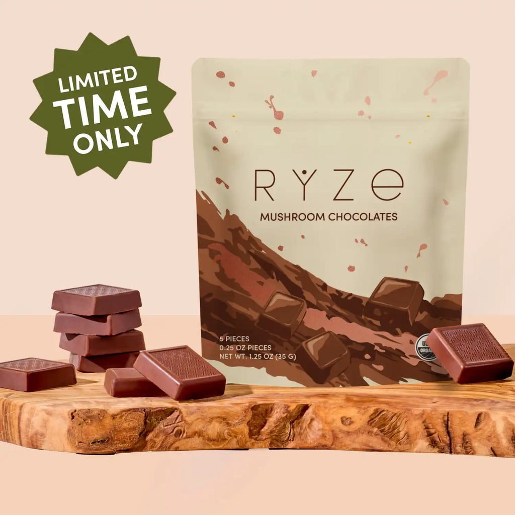 Mushroom Chocolates (30 pieces)