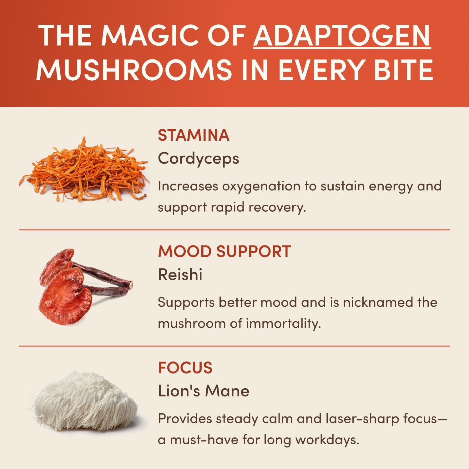 Revitalized Energy Bundle (Coffee + Chocolates)