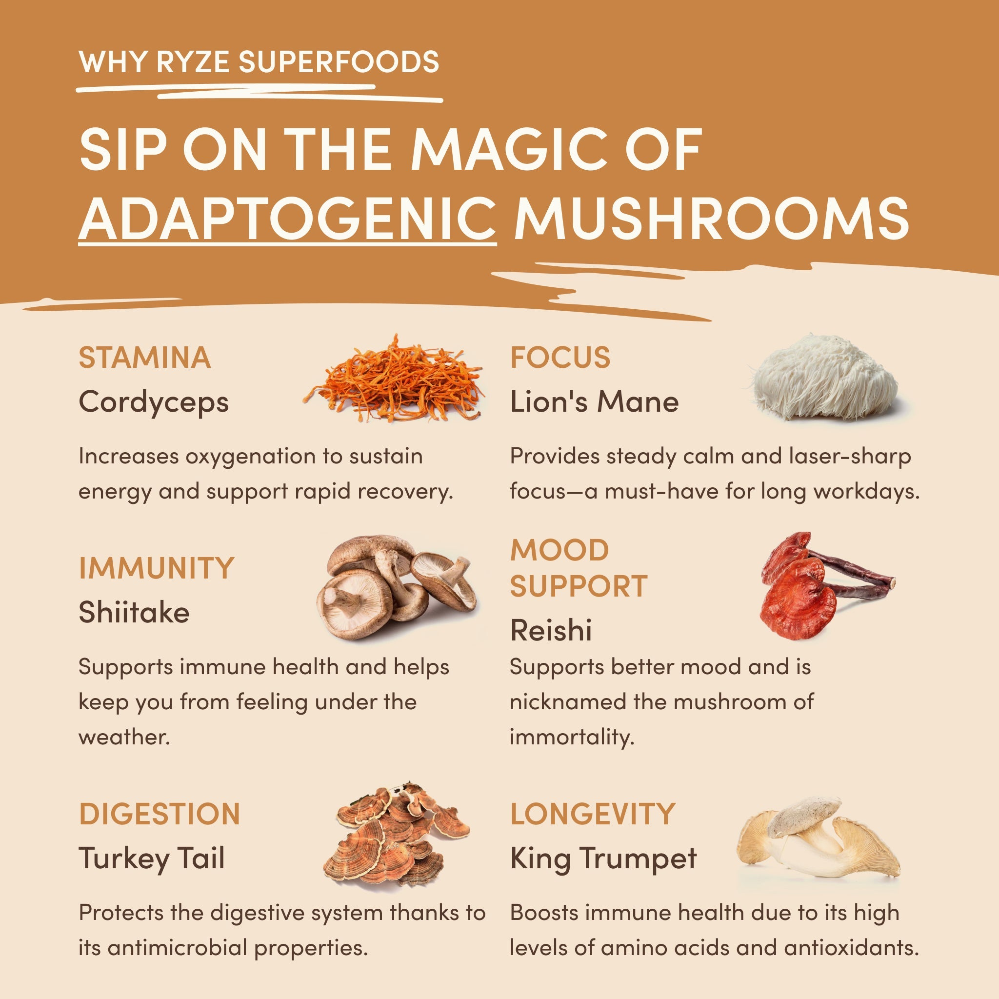 Mushroom Overnight Oats ( 14 Servings )