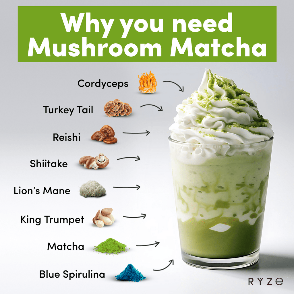 RYZE Mushroom Matcha - with 6 Organic Adaptogenic Mushrooms Grown In USA and Ceremonial-Grade Japanese Matcha